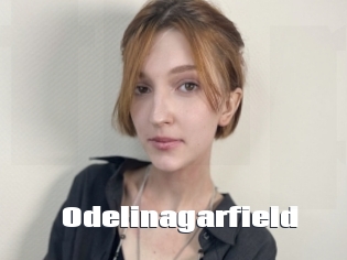 Odelinagarfield