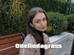 Odelindagrass