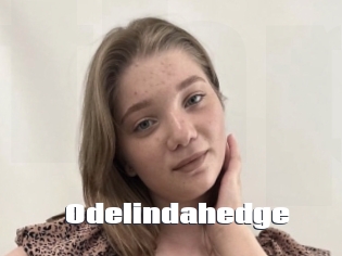 Odelindahedge