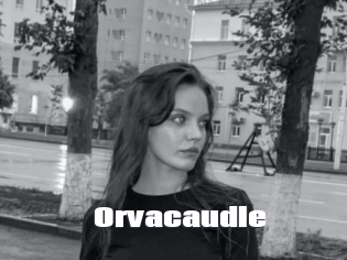 Orvacaudle