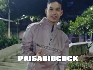 PAISABIGCOCK