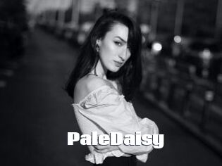 PaleDaisy