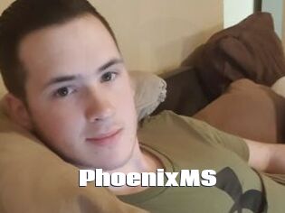 PhoenixMS