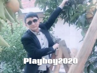 Playboy2020