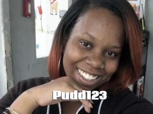 Pudd123