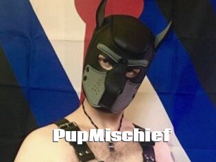 PupMischief