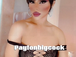 paytonbigcock The hot porn