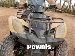 Pewnis