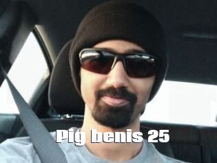 Pig_benis_25