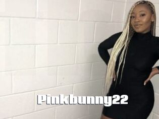 Pinkbunny22