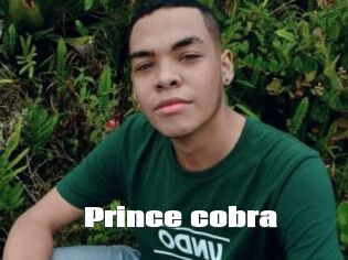 Prince_cobra