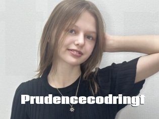 Prudencecodringt