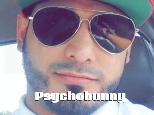 Psychobunny