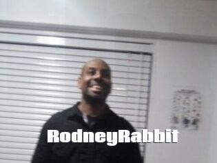 Rodney_Rabbit