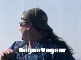 RogueVoyeur