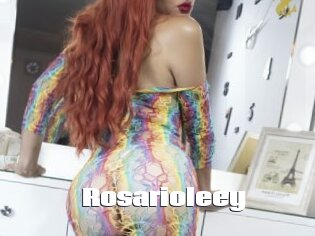 Rosarioleey