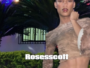 Rosesscott