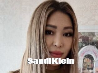 SandiKlein