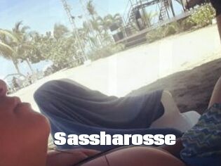 Sassharosse