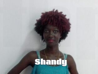 Shandy