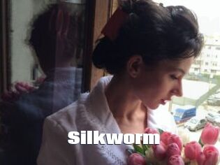 Silkworm