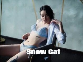 Snow_Cat