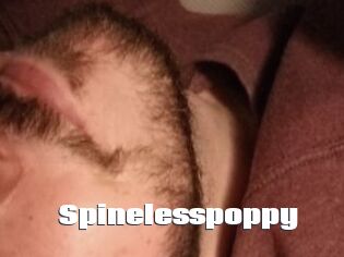 Spinelesspoppy