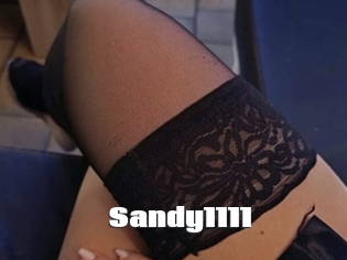 Sandy1111