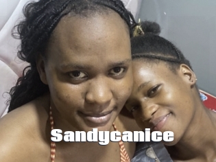 Sandycanice