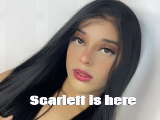 Scarlett_is_here