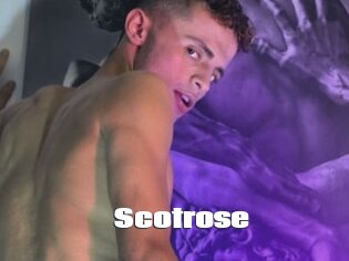 Scotrose