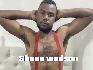 Shane_wadson