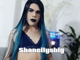 Shaneilysbig