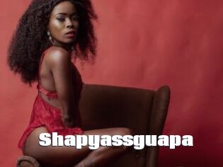 Shapyassguapa