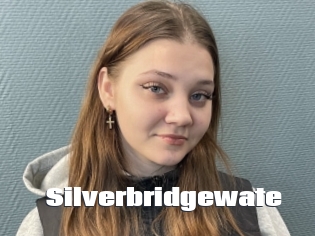 Silverbridgewate
