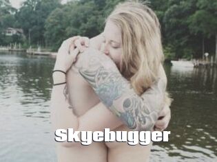 Skyebugger