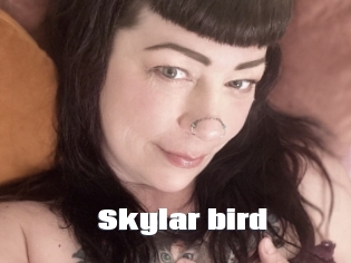 Skylar_bird