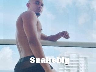 Snakebig