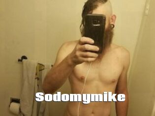 Sodomymike