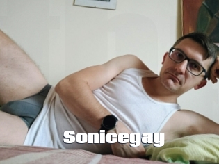 Sonicegay