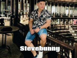 Stevebunny