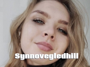 Synnovegledhill