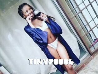 TINY20004