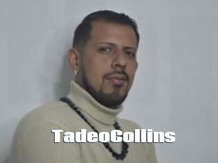 TadeoCollins