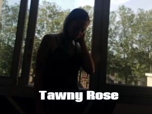 Tawny_Rose