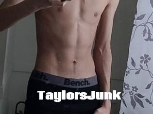 TaylorsJunk