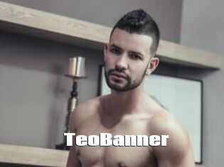 TeoBanner