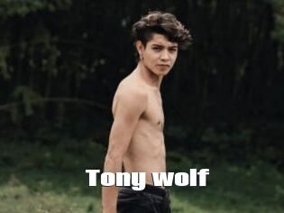 Tony_wolf