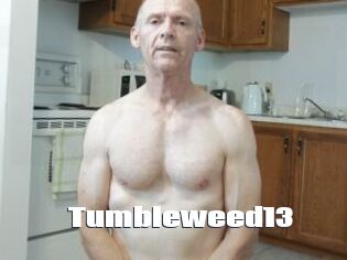 Tumbleweed13