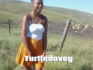 Turtledovey